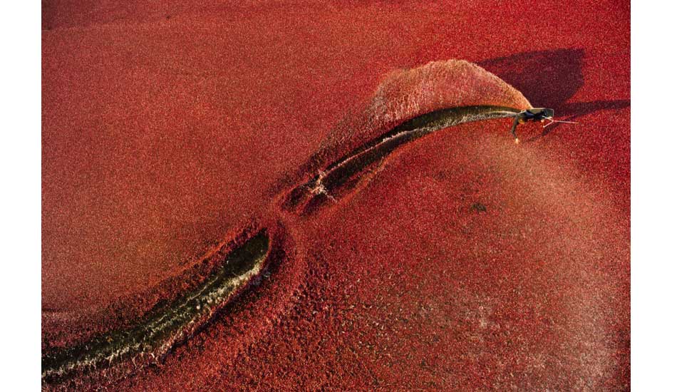 Photo: Ryan Taylor/<a href=\"https://www.redbull.com/us/en/\" target=_blank>Red Bull Illume</a>