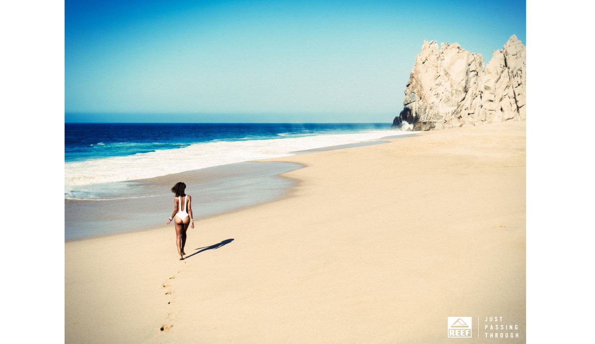 February. Photo: <a href=\"https://www.reef.com/\"> Reef</a>