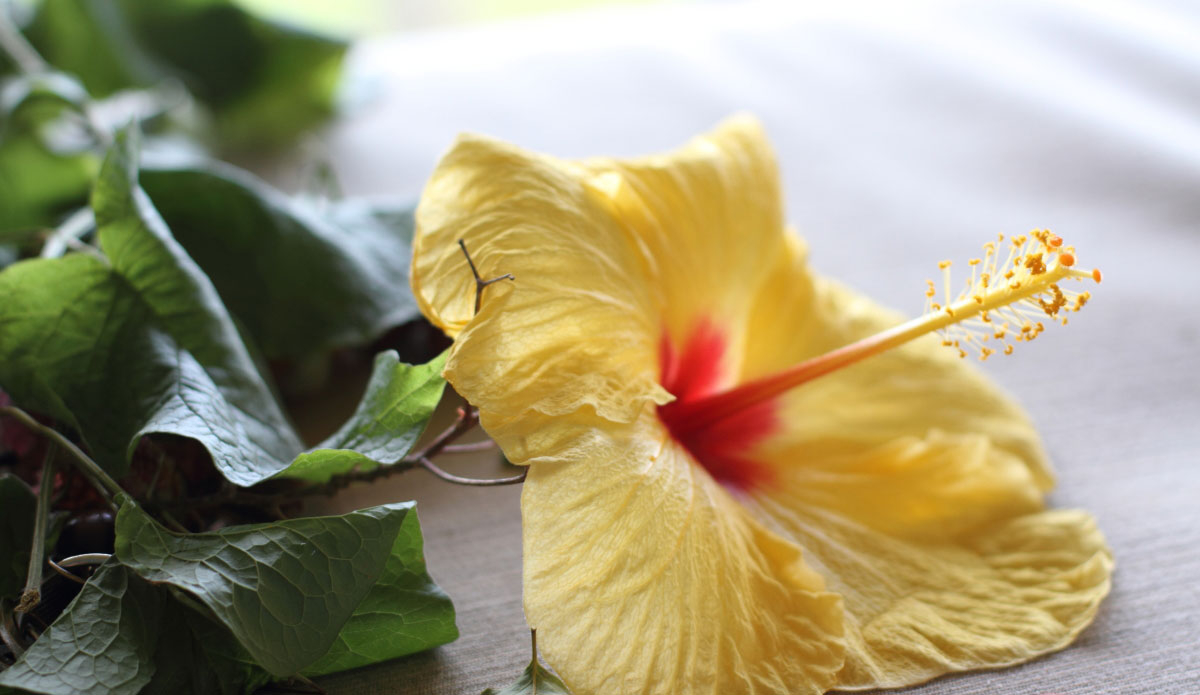 Photo: <a href=\"https://eschell.tumblr.com/\"> Evan Schell</a>