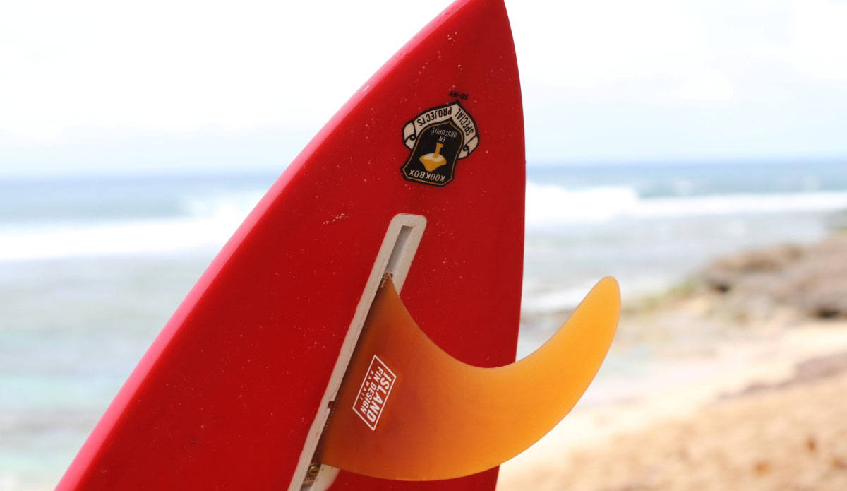 Photo: <a href=\"https://eschell.tumblr.com/\"> Evan Schell</a>