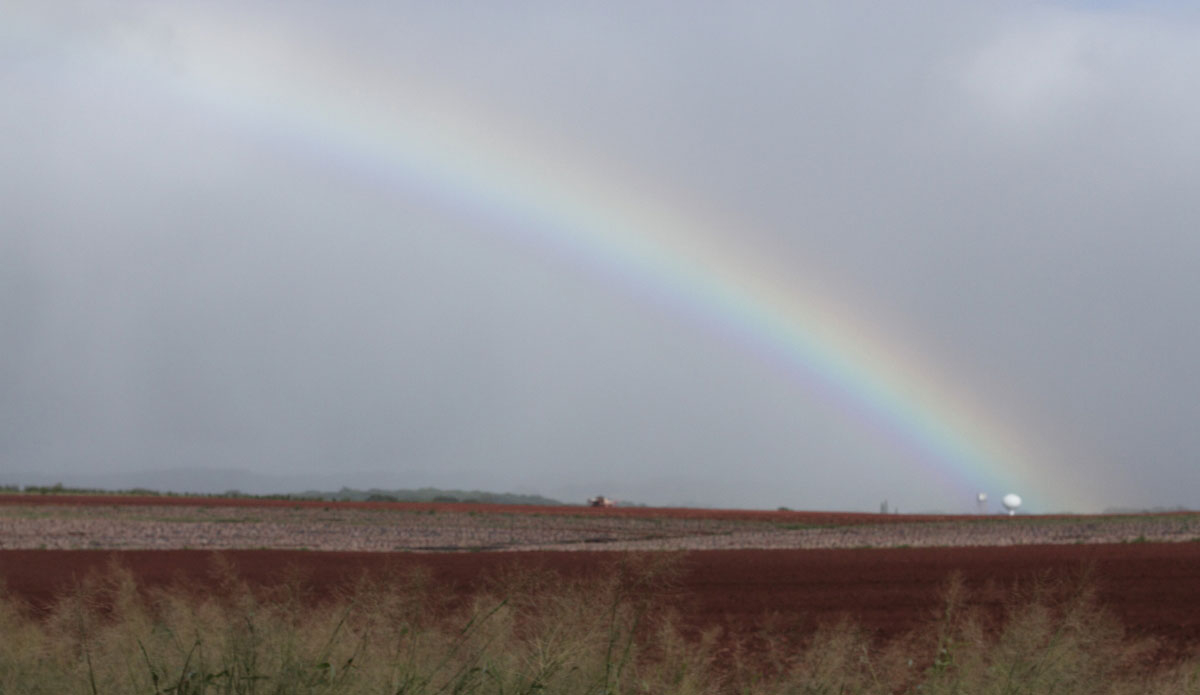 Photo: <a href=\"https://eschell.tumblr.com/\"> Evan Schell</a>