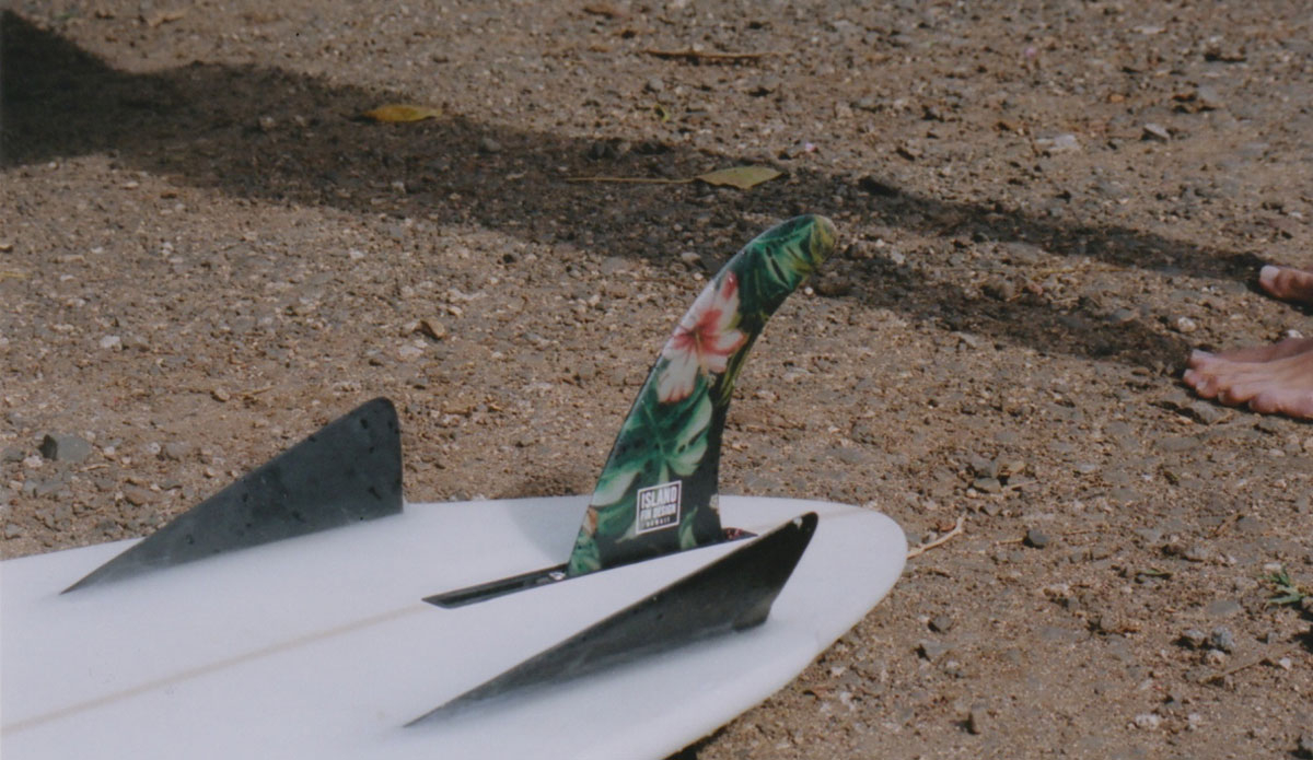 Photo: <a href=\"https://eschell.tumblr.com/\"> Evan Schell</a>