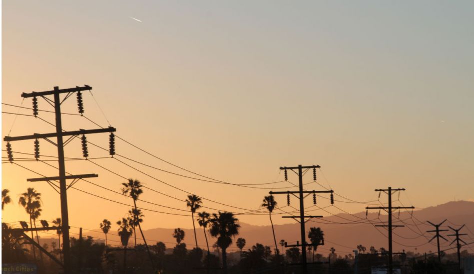 The view from the top. Palm trees and power lines. Venice skyline. Photo: <a href=\"http://www.isaaczoller.com/\">Isaac Zoller</a>