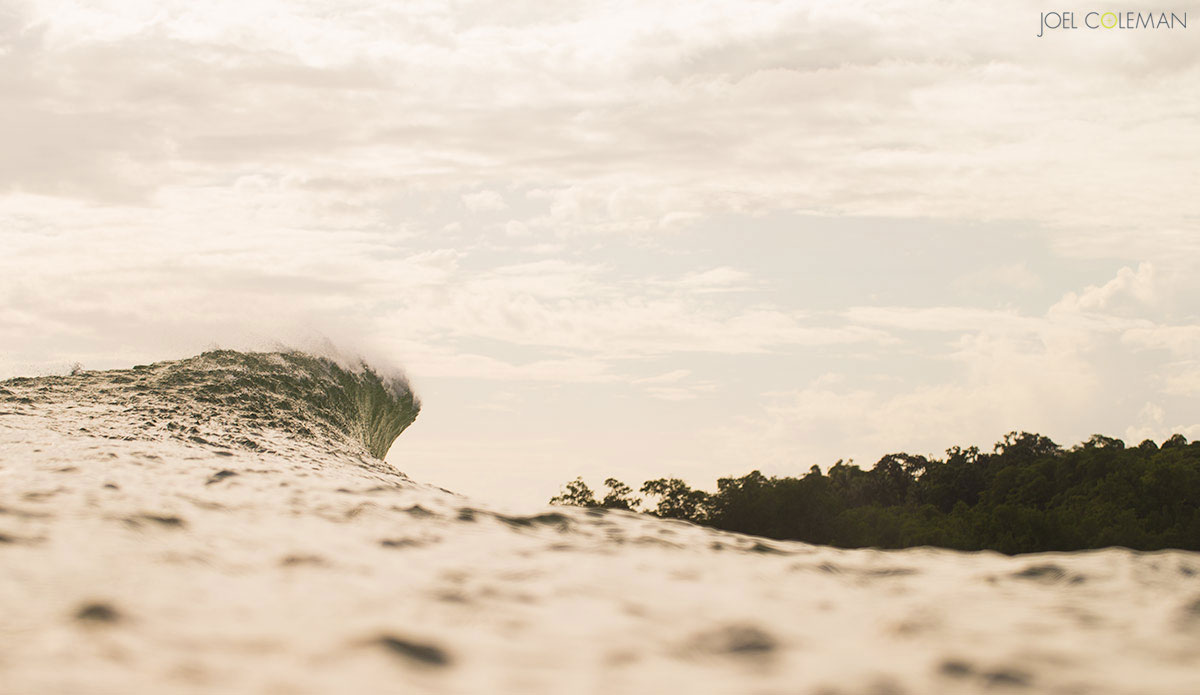 Photo: <a href=\"https://www.saltmotion.com/\"> Joel Coleman</a>