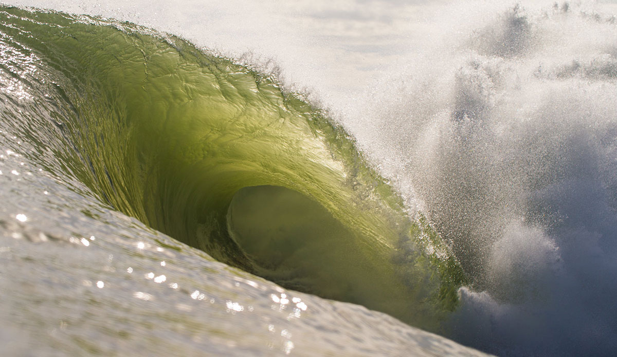 Photo: <a href=\"https://www.saltmotion.com/\"> Joel Coleman</a>