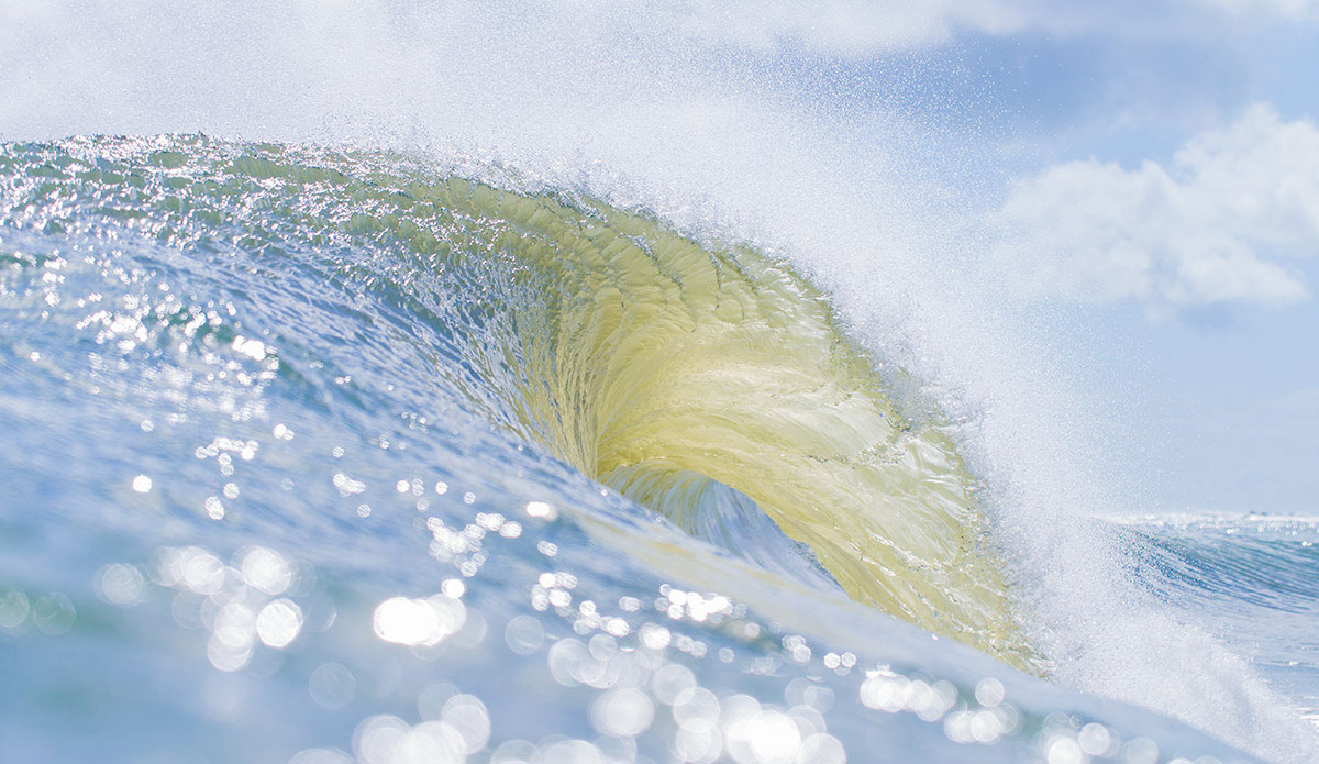 Photo: <a href=\"https://www.saltmotion.com/\"> Joel Coleman</a>