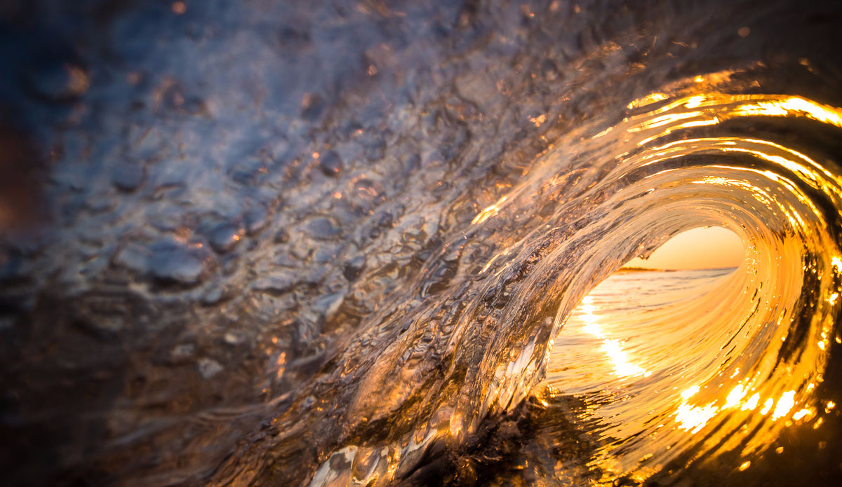 If you get the right lighting angle it can create such a great orange glow. Photo: <a href=\"https://dasphotogallery.com/\">Dave Sieczkiewicz</a> 