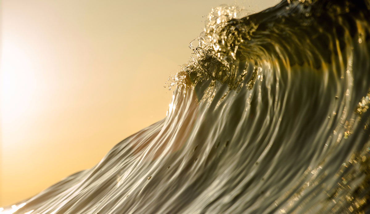 Somebody told me there was gold in the mountains. Photo: <a href=\"https://dasphotogallery.com/\">Dave Sieczkiewicz</a> 