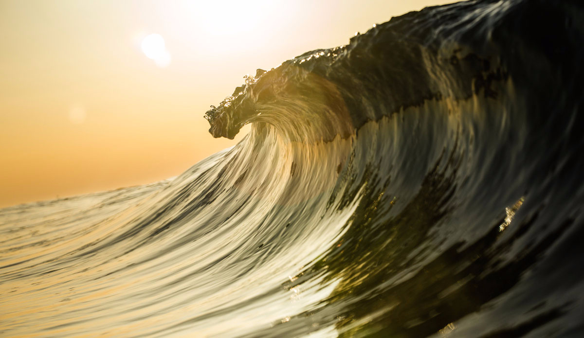 The early morning sun can create such a nice golden glow on a clear day. Photo: <a href=\"https://dasphotogallery.com/\">Dave Sieczkiewicz</a> 