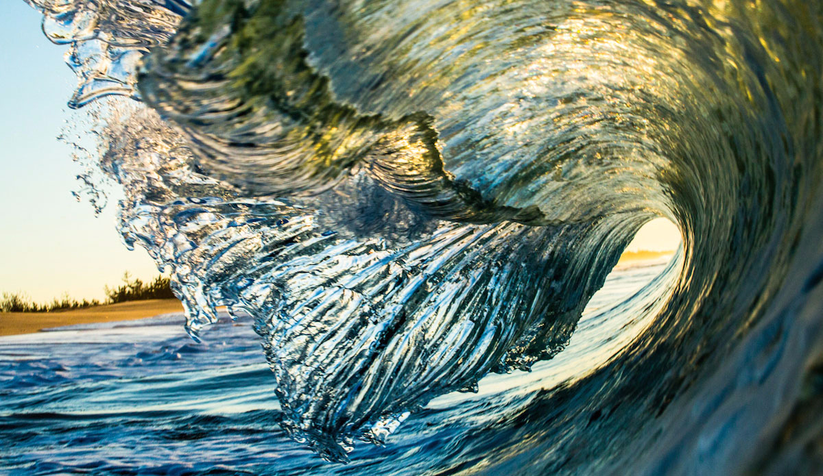 This one reminds me of a spring flower starting to bloom. Photo: <a href=\"https://dasphotogallery.com/\">Dave Sieczkiewicz</a> 