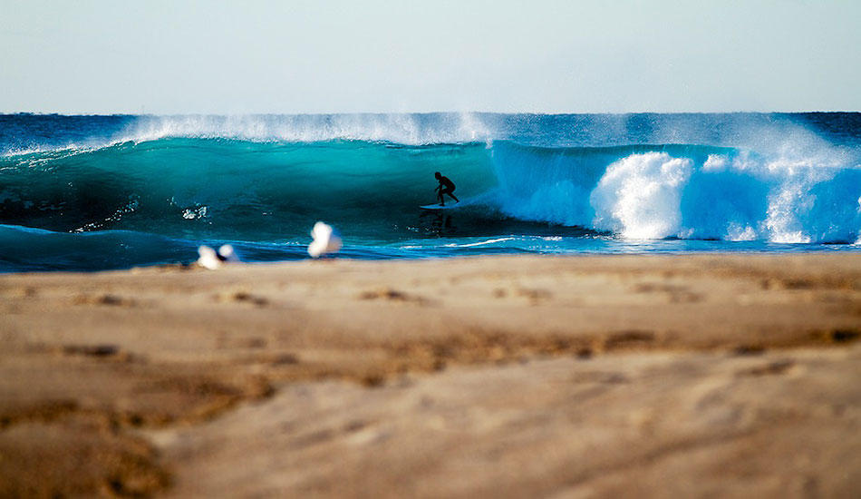 The bank working at Bronte early last winter. Photo: <a href= \"https://bayflare.com/\" target=_blank>Rhydian Thomas.</a>