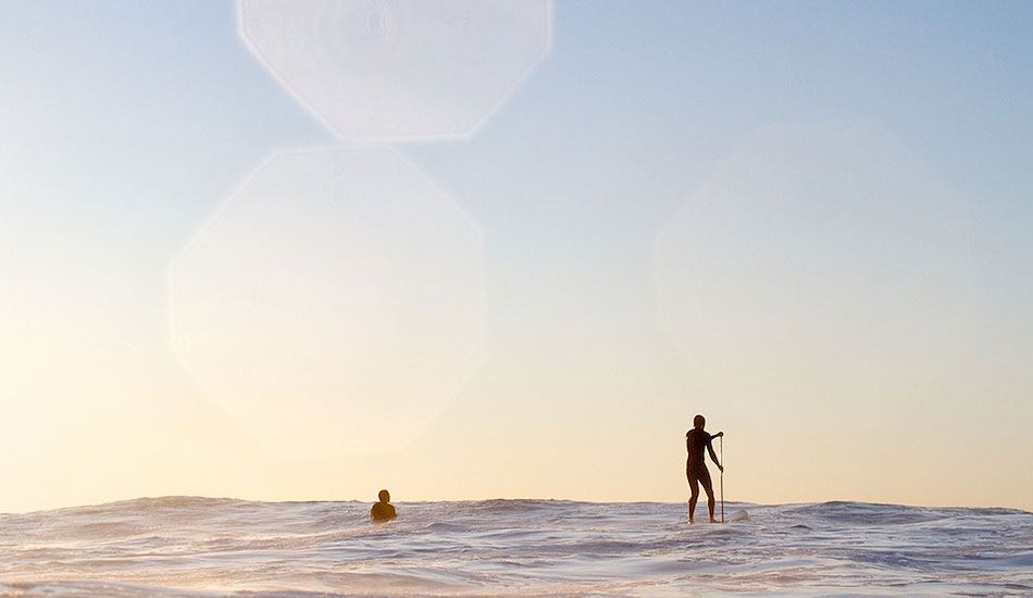 SUP and his mate, North Bondi. Photo: <a href= \"https://bayflare.com/\" target=_blank>Rhydian Thomas.</a>