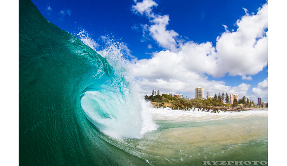 Empty Snapper. Photo: <a href=\"https://www.ryzphoto.com\">Ryan Williams</a>