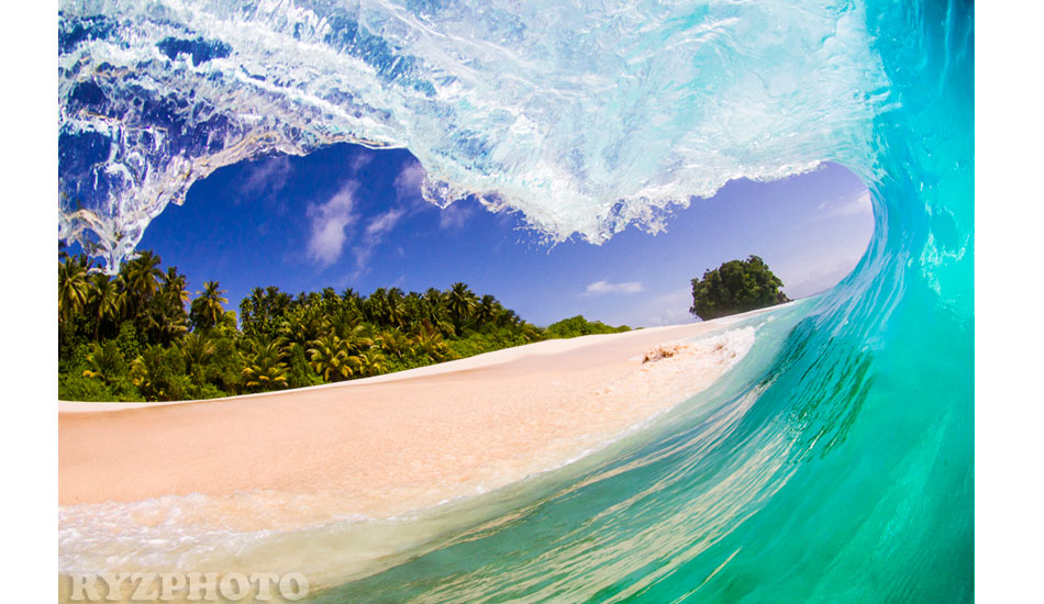Sumatran solitude. Photo: <a href=\"https://www.ryzphoto.com\">Ryan Williams</a>