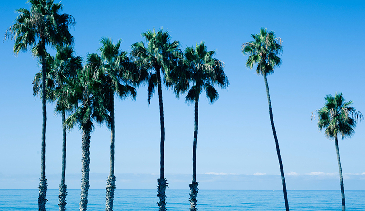 Photo: RVCA / @jeremeaubertin