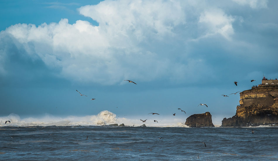 Violent. Photo: <a href=\"https://www.surfatlisbonfilmfest.com\">Ricardo Gonçalves</a>
