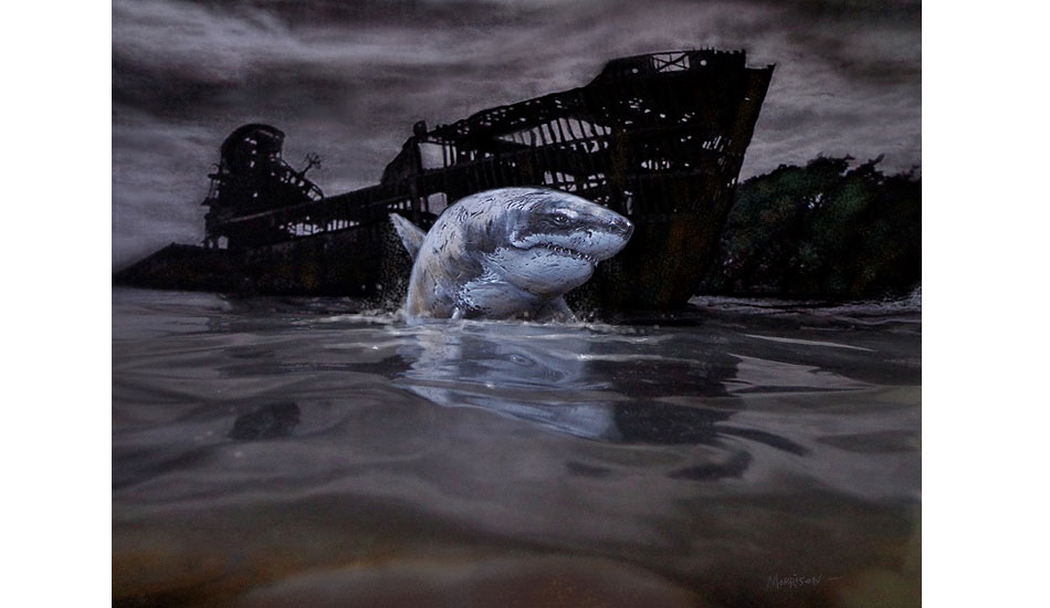 Shark. Photo: <a href=\"https://www.envirosurfartseries.com\" target=_blank>Richard Morrison</a>