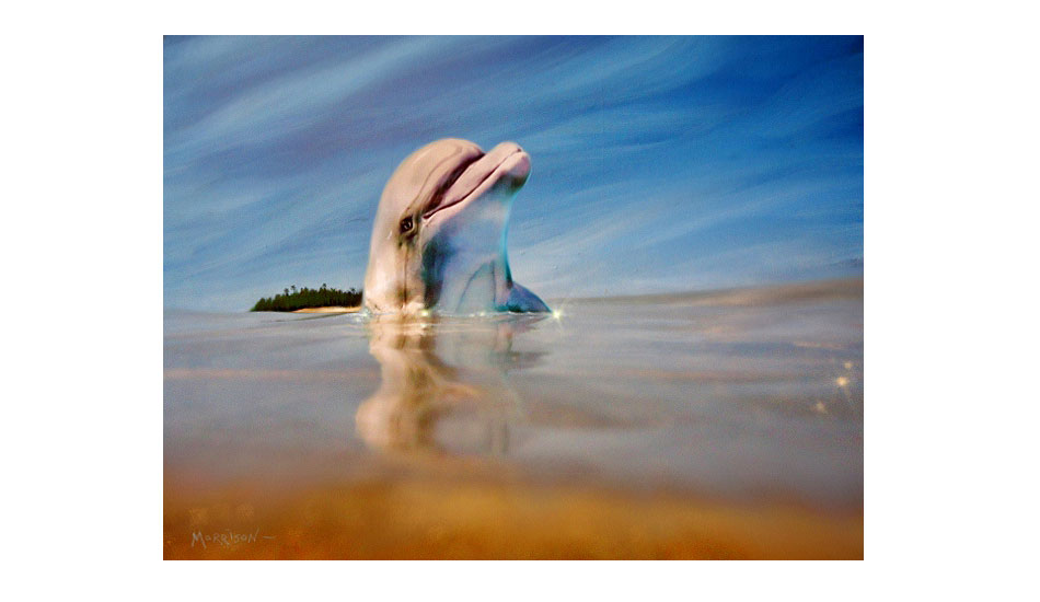 The Dolphin. Photo: <a href=\"https://www.envirosurfartseries.com\" target=_blank>Richard Morrison</a>