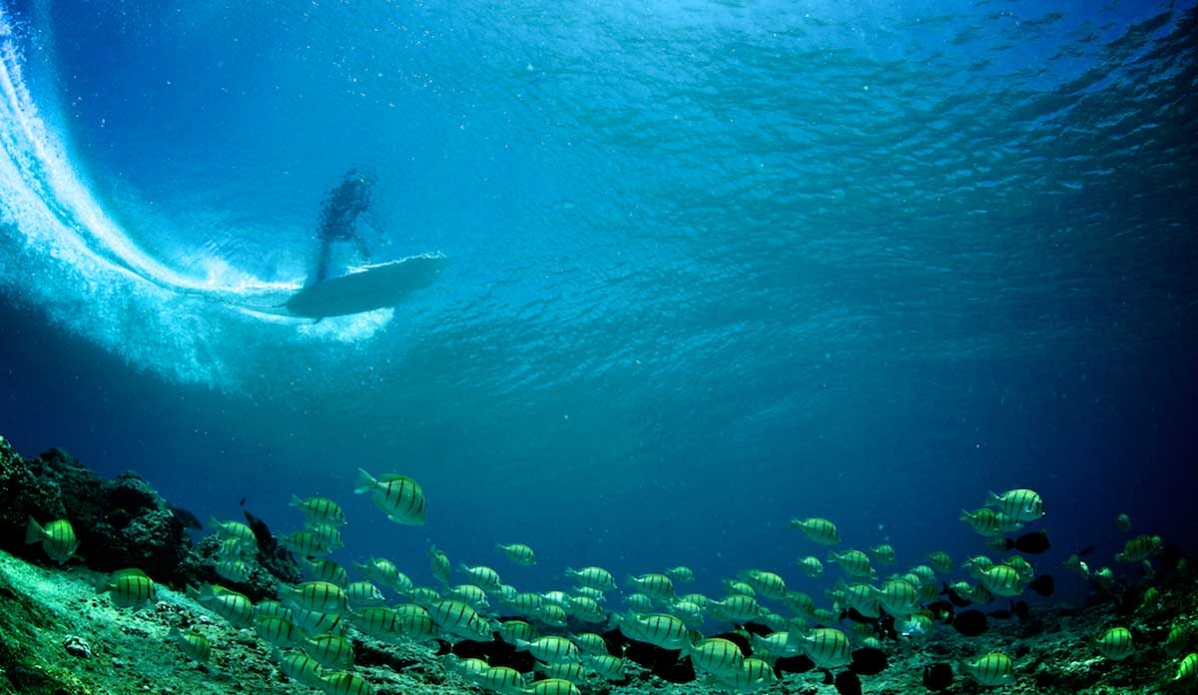 Another crystal Maldivian moment. Photo: <a href=\"https://richardkotchphotography.com/\">Richard Kotch</a>