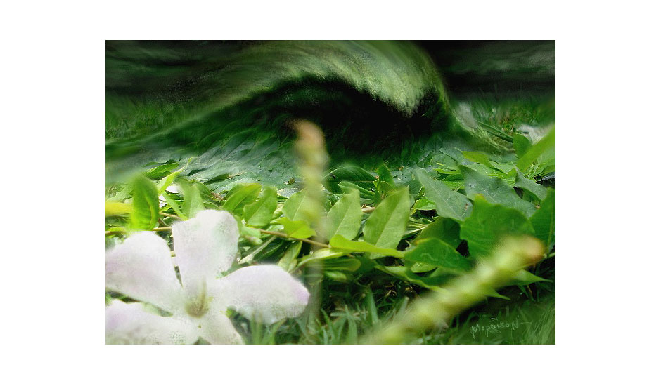 Green machine. Photo: <a href=\"https://www.envirosurfartseries.com\" target=_blank>Richard Morrison</a>