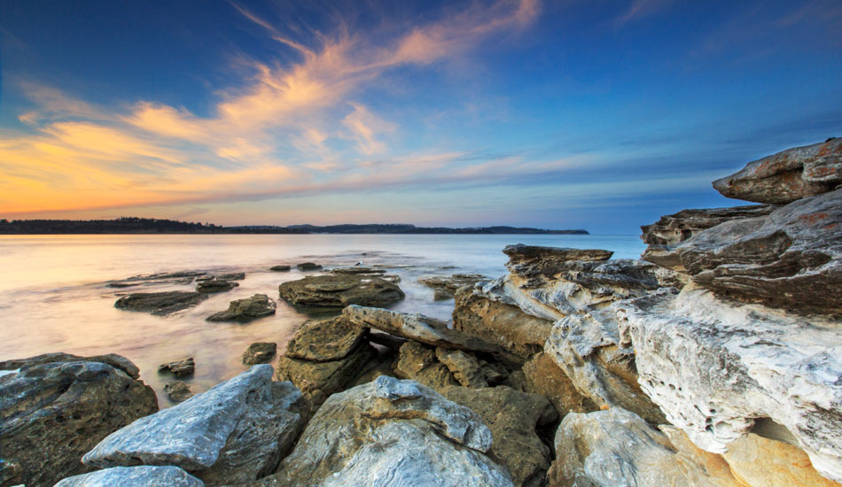 Seagulls chilling at a gorgeous sunset, Orford, Tasmania. Photo:<a href=\"https://www.rickileigheaves.com.au\"> Ricki Eaves<a/>