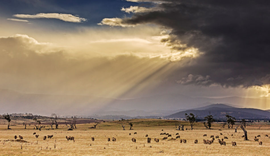 I was driving the highway from Launceston to Hobart and had to stop for this sight. Oatlands, Central Midlands, Tasmania. Photo:<a href=\"https://www.rickileigheaves.com.au\"> Ricki Eaves<a/>