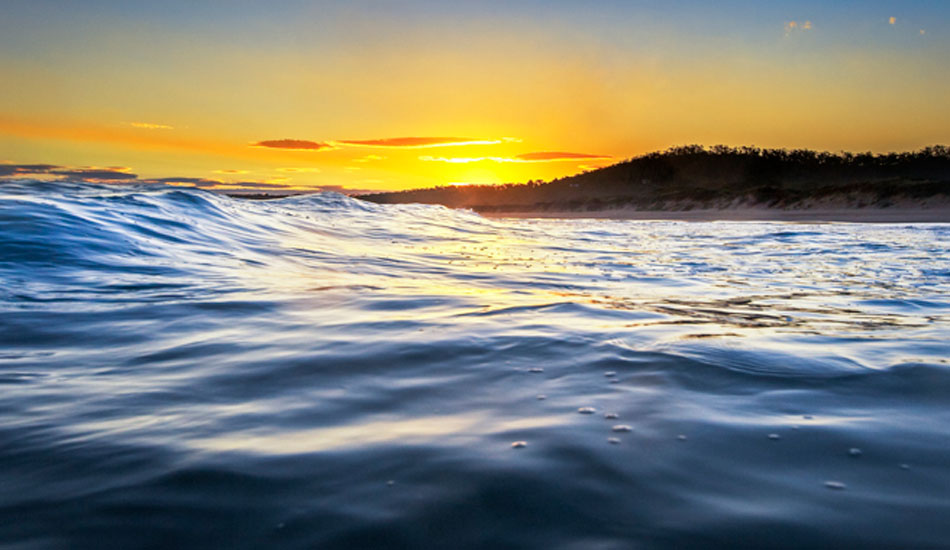 Summer Blues down at Goats Beach, South Arm Peninsula, Tasmania. Photo:<a href=\"https://www.rickileigheaves.com.au\"> Ricki Eaves<a/>