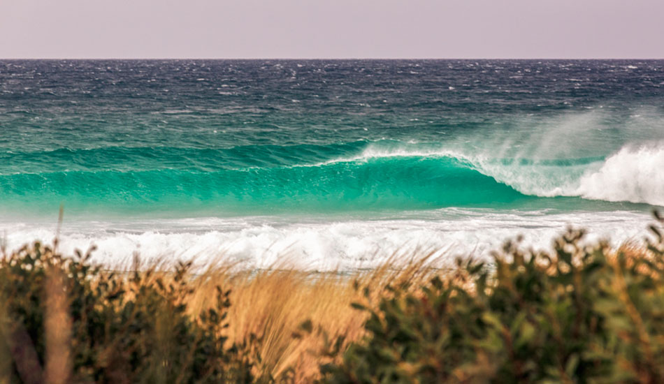 Have to love this water at The Gardens, East Coast, Tasmania. Photo:<a href=\"https://www.rickileigheaves.com.au\"> Ricki Eaves<a/>