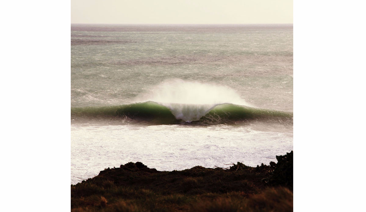 Breaking bad. Photo: <a href=\"https://www.simonjayphotography.com/\">SImon Rickwood</a>