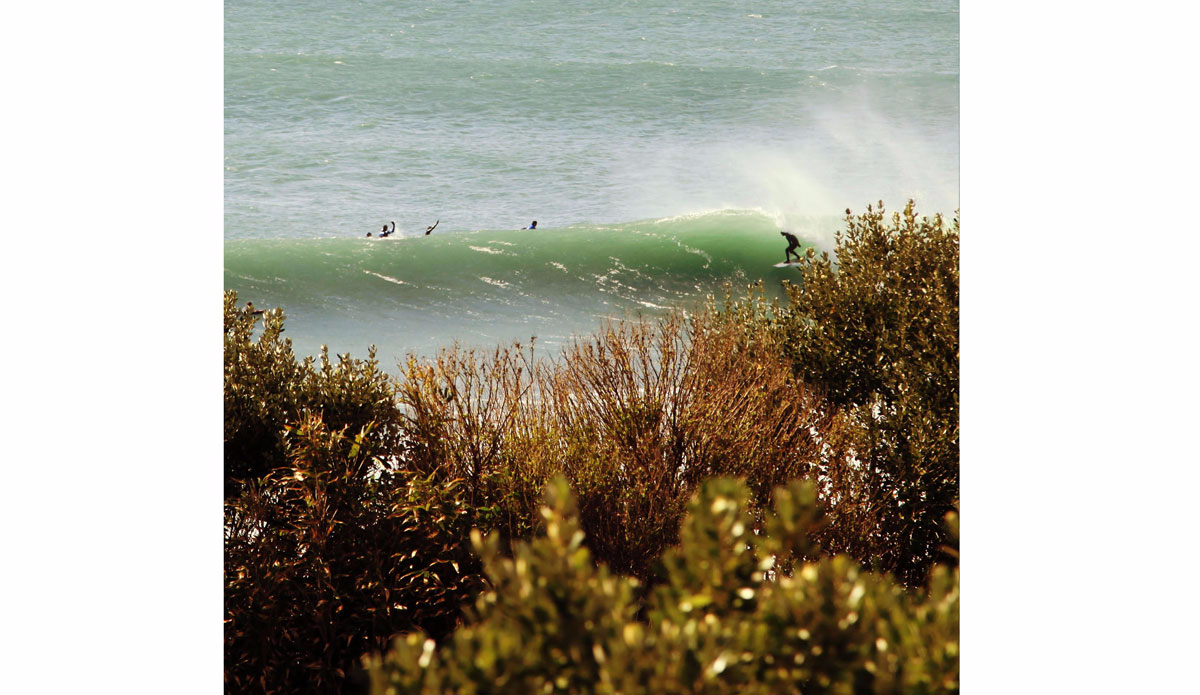 Whoop whoooop. Photo: <a href=\"https://www.simonjayphotography.com/\">SImon Rickwood</a>