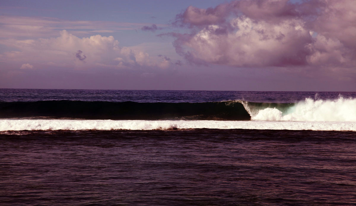 And another. Photo: <a href=\"https://Instagram.com/simonjayphotos\" target=\"_blank\"> Simon Rickwood</a>