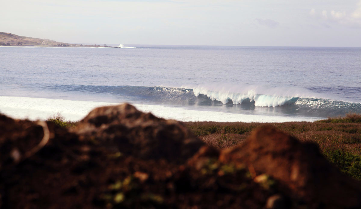 A big day. Photo: <a href=\"https://Instagram.com/simonjayphotos\" target=\"_blank\"> Simon Rickwood</a>