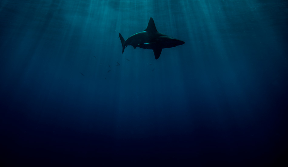 Sandbars off Haleiwa. Photo: <a href=\"https://www.rickyjlesser.com/\" target=_blank>Ricky Lesser.</a>