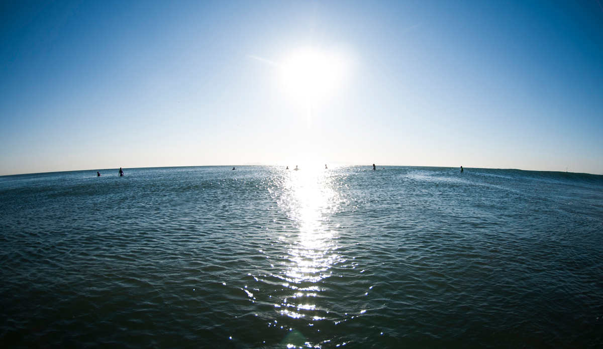 Groomed. Photo: <a href=\"https://www.rickyjlesser.com/\"> Ricky Lesser</a>