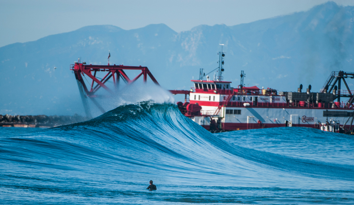 Lumpy. Photo: <a href=\"https://www.rickyjlesser.com/\"> Ricky Lesser</a>