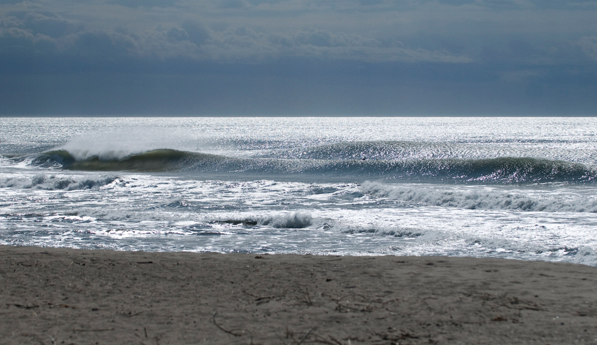 Brisk. Photo: <a href=\"https://www.rickyjlesser.com/\"> Ricky Lesser</a>