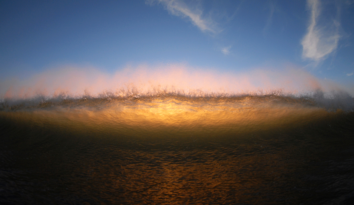 Watercolors. Photo: <a href=\"https://www.rickyjlesser.com/\"> Ricky Lesser</a>