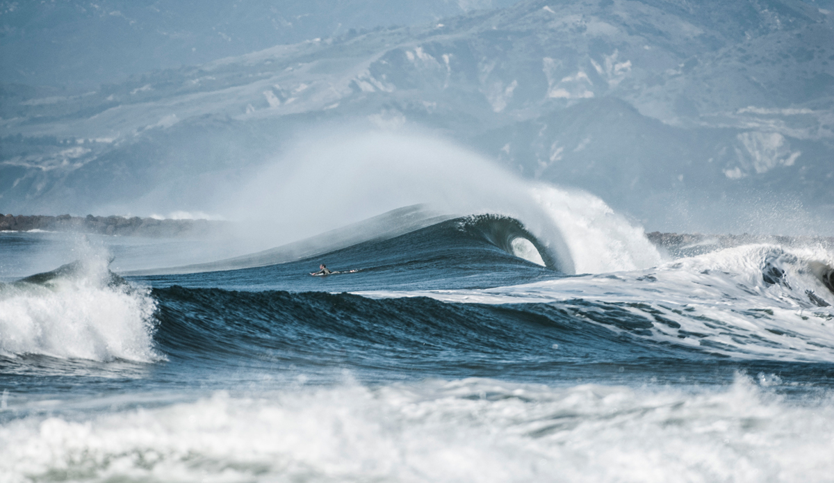 January. Photo: <a href=\"https://www.rickyjlesser.com/\"> Ricky Lesser</a>