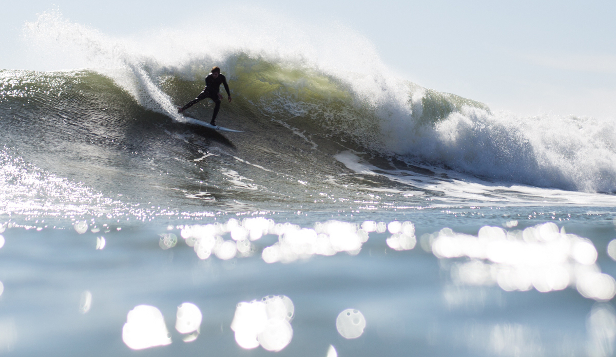 Photo: <a href=\"https://danlemaitrephoto.com\">Dan LeMaitre</a>