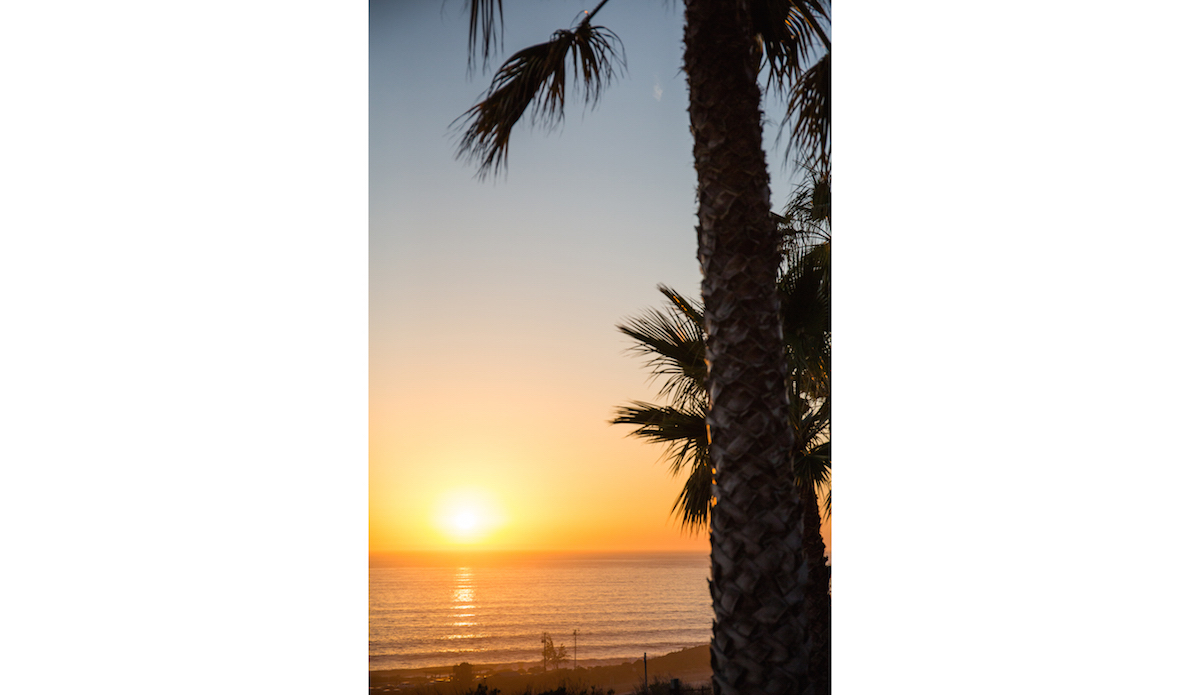 The Queen sleeps. Photo: <a href=\"https://danlemaitrephoto.com\">Dan LeMaitre</a>