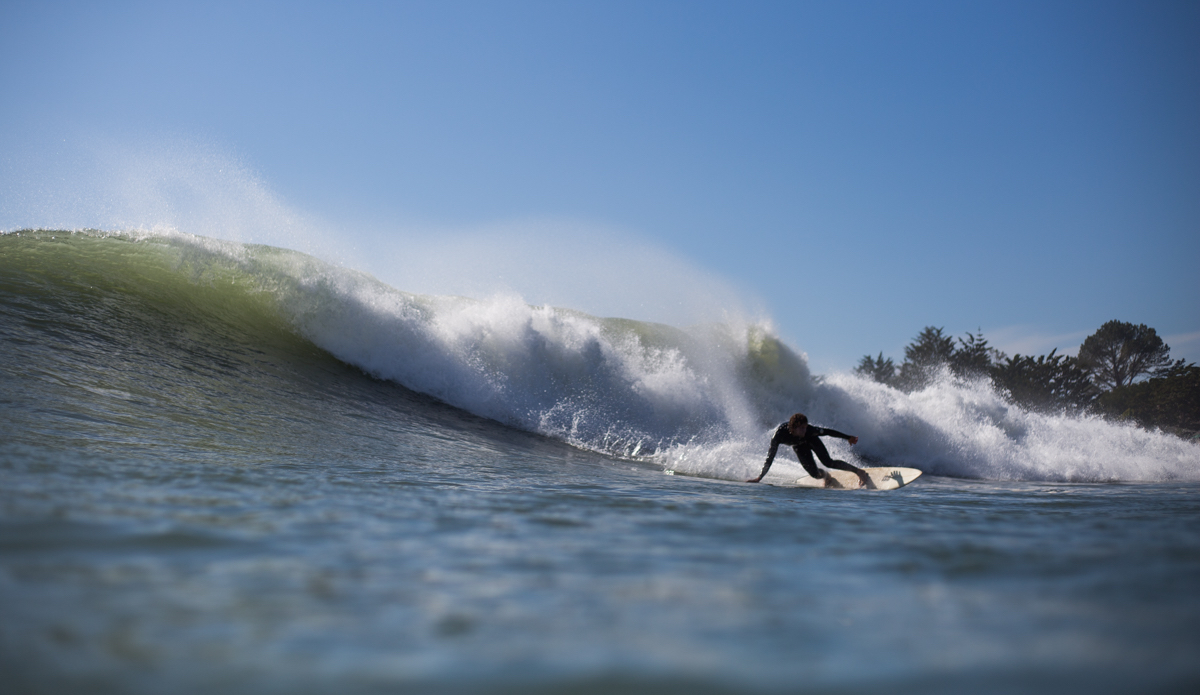 Photo: <a href=\"https://danlemaitrephoto.com\">Dan LeMaitre</a>