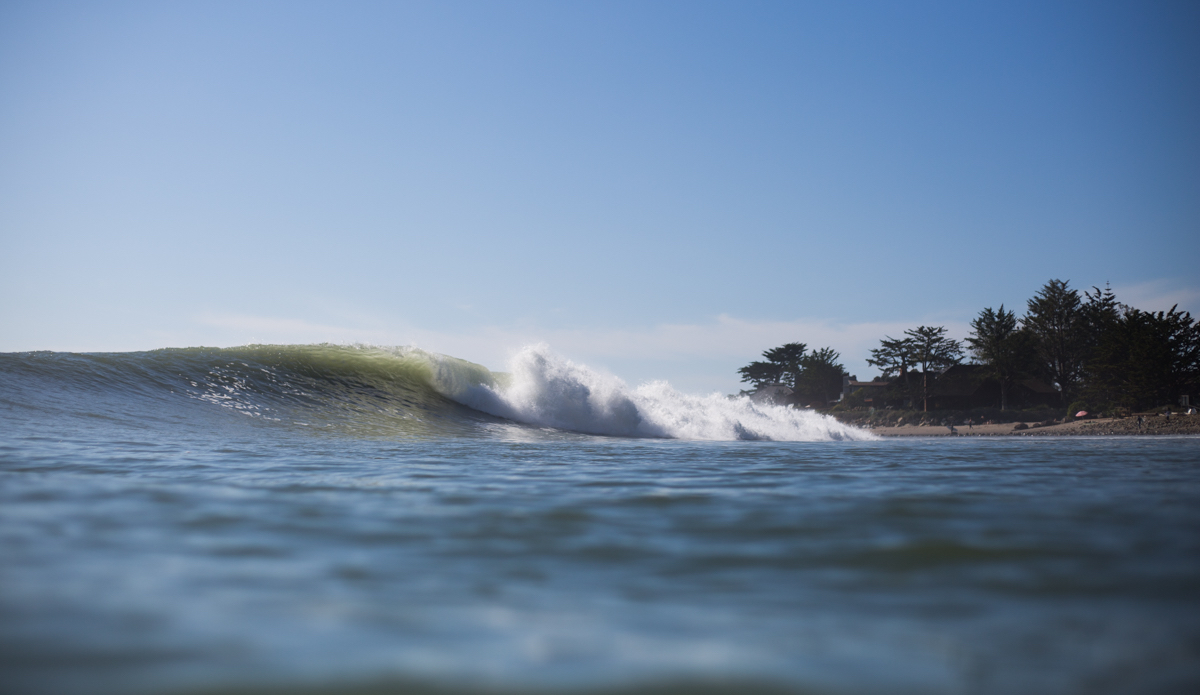 Photo: <a href=\"https://danlemaitrephoto.com\">Dan LeMaitre</a>