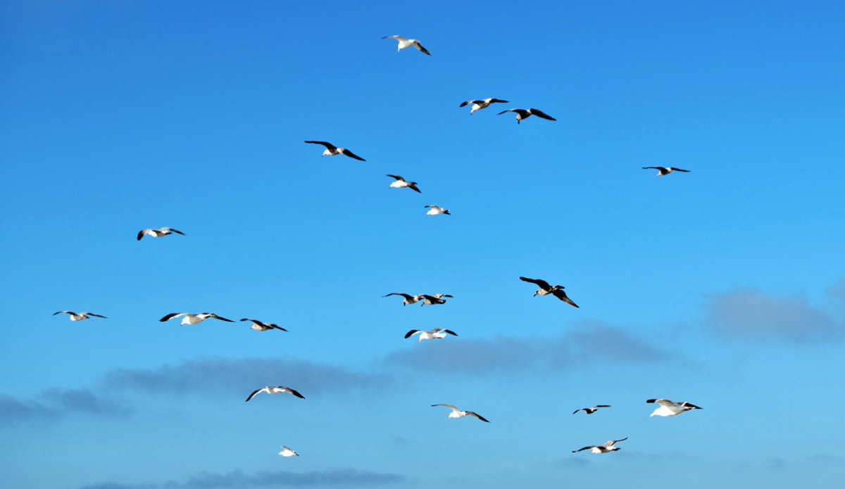 Photo: <a href=\"www.californiametalphoto.com\">Robert Eovaldi</a>