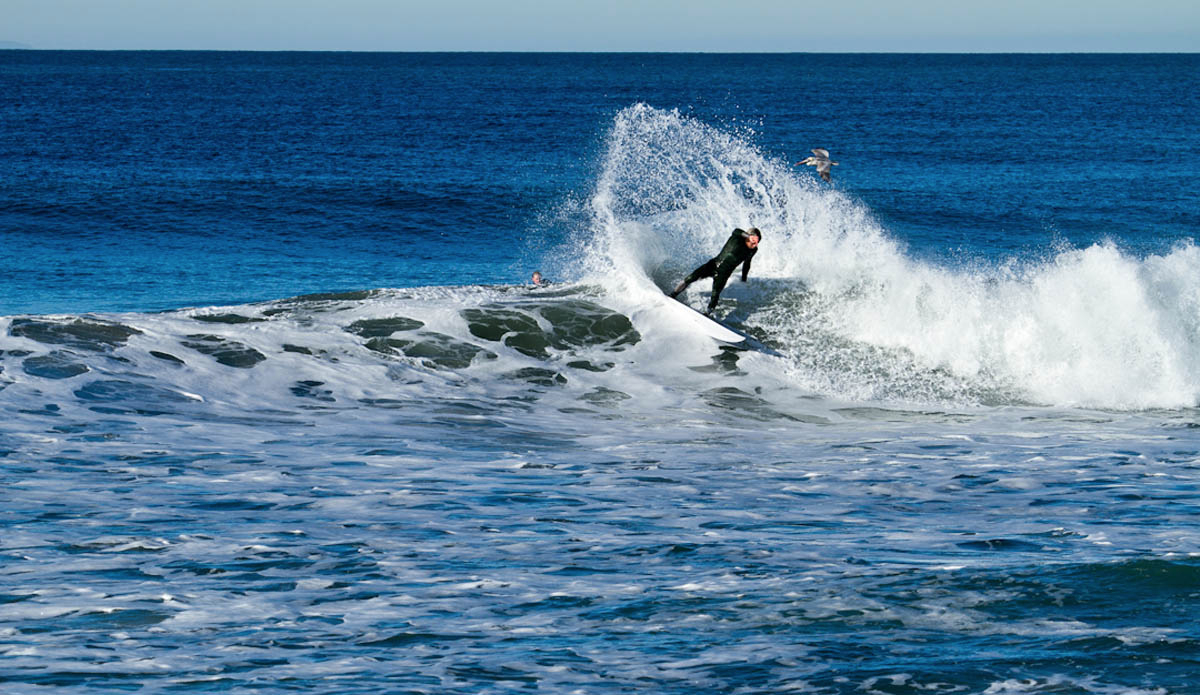 Photo: Chris Papaleo | Salty Beards