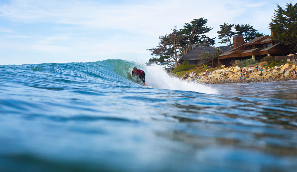 Robert Curtis. Photo: <a href=\"https://www.nickliotta.com\">Nick Liotta</a>