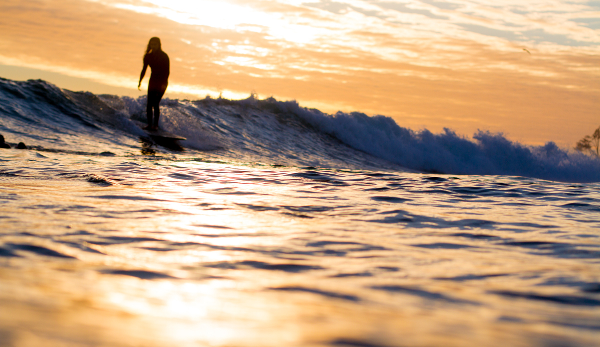 Photo: <a href=\"https://www.timmendez.com/\">Tim Mendez</a>