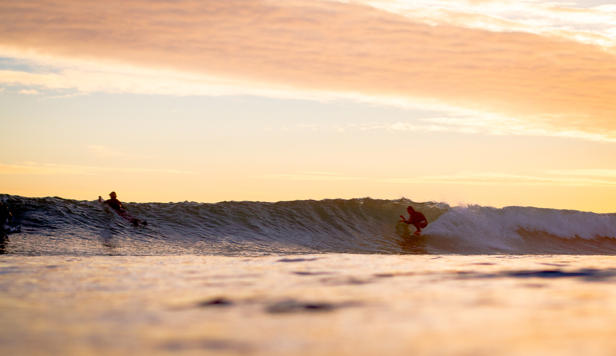 Photo: <a href=\"https://www.timmendez.com/\">Tim Mendez</a>