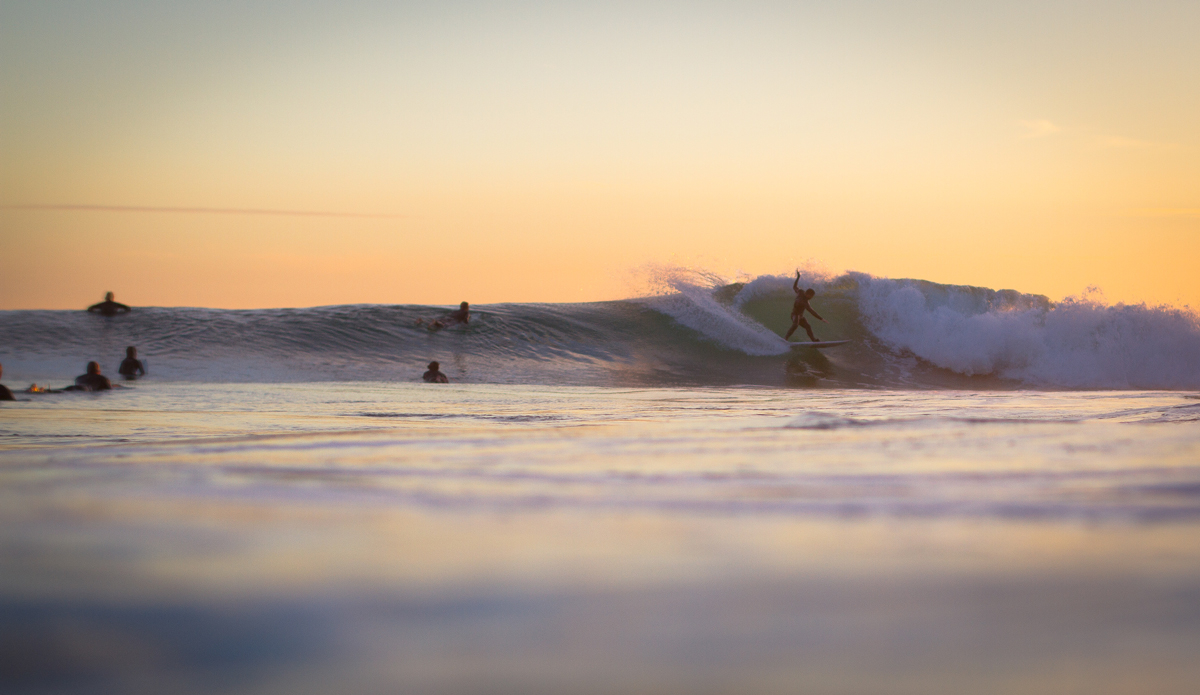 Photo: <a href=\"https://www.timmendez.com/\">Tim Mendez</a>