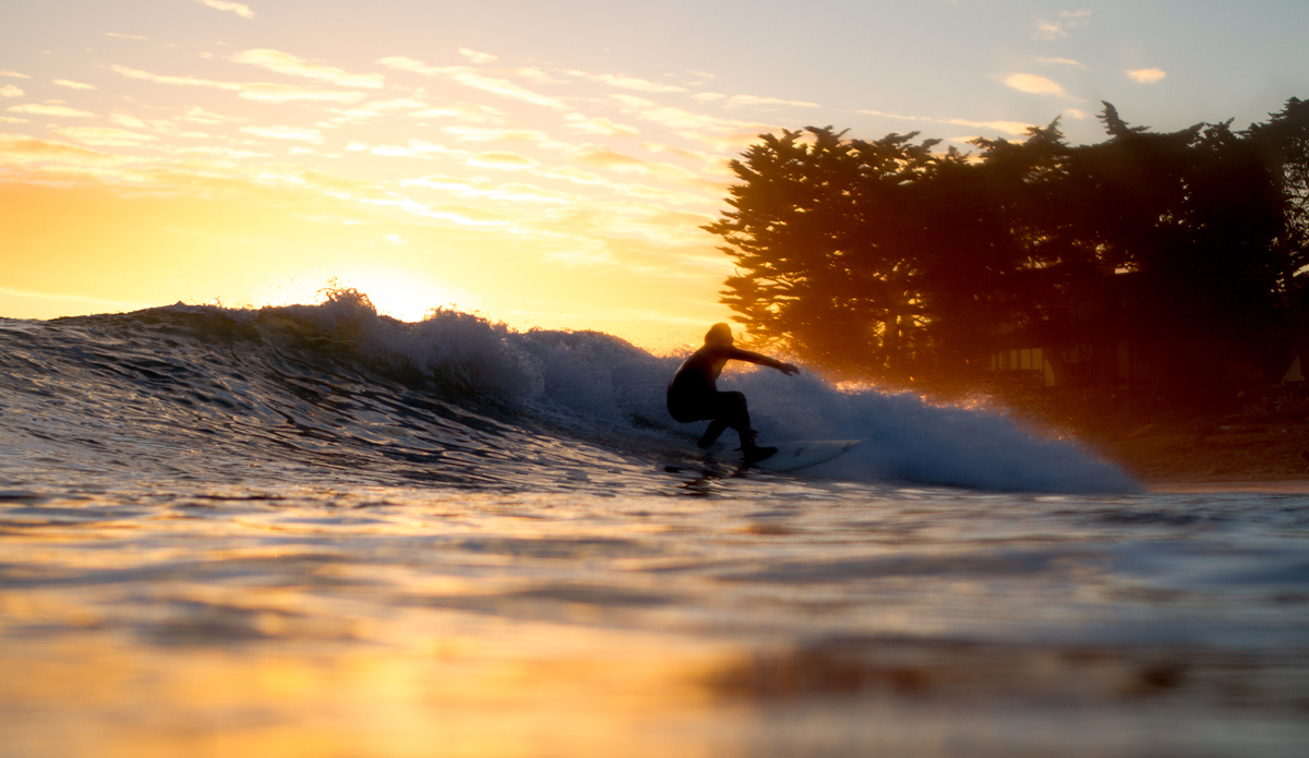 Photo: <a href=\"https://www.timmendez.com/\">Tim Mendez</a>