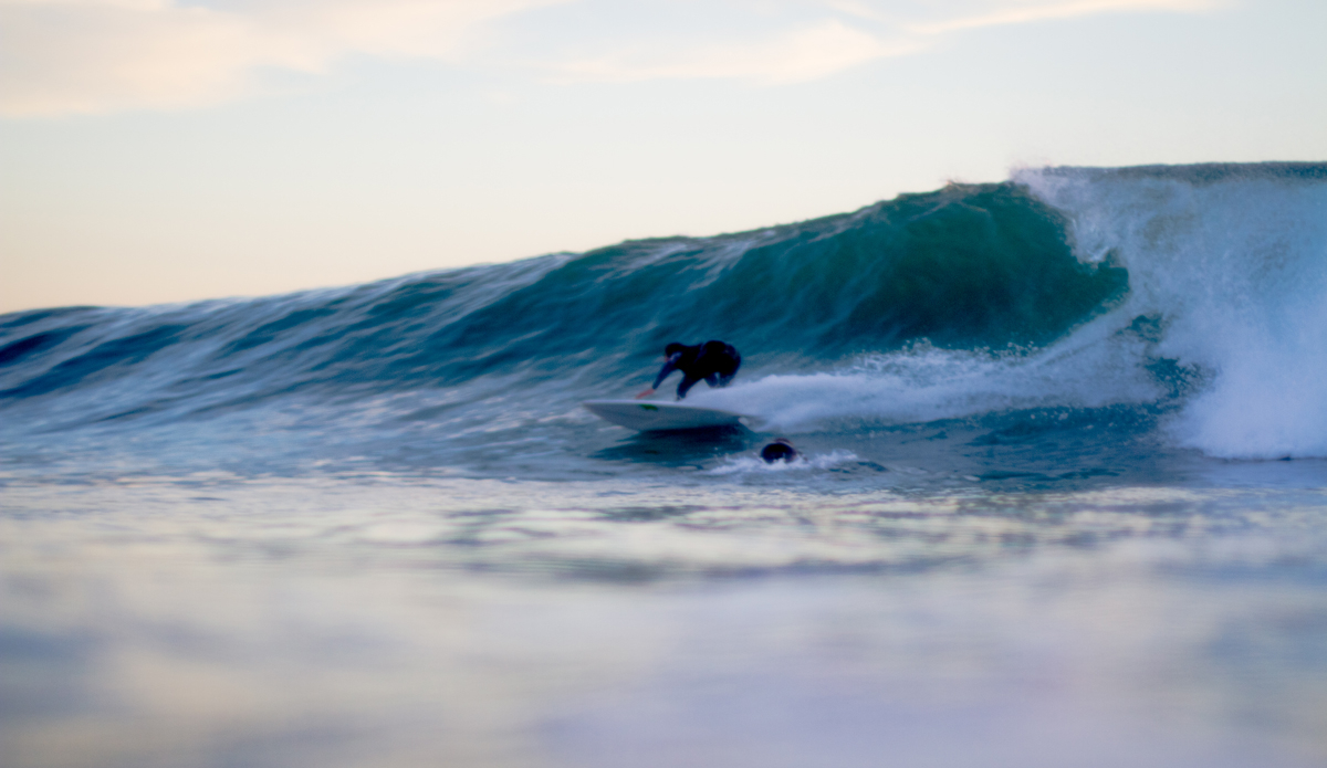 Photo: <a href=\"https://www.timmendez.com/\">Tim Mendez</a>